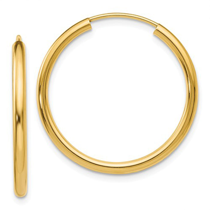 14k Yellow Gold Endless Hoop Earrings (2mm), All Sizes - LooptyHoops