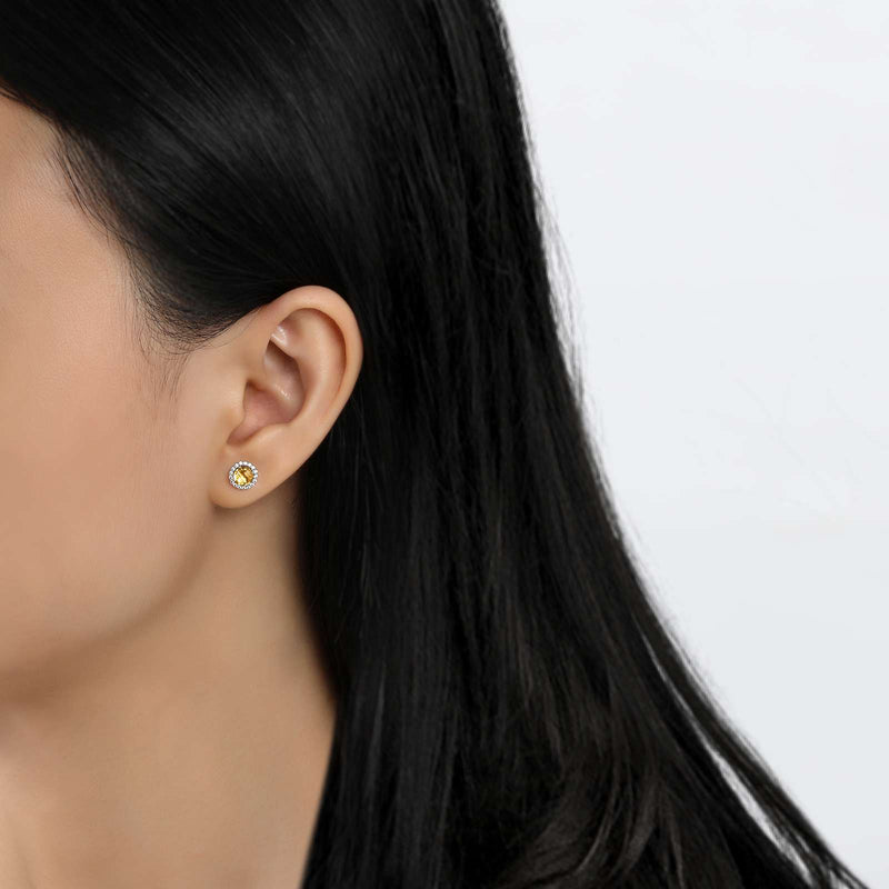 Lafonn Birthstone Halo Stud Earrings – Sterling Silver & Lassaire® Simulated Diamonds