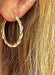 14k Yellow Gold Diamond Cut Twisted Rope Hoop Earrings (2mm), 25mm - LooptyHoops