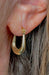 14K Gold Small Oval Hoops - LooptyHoops