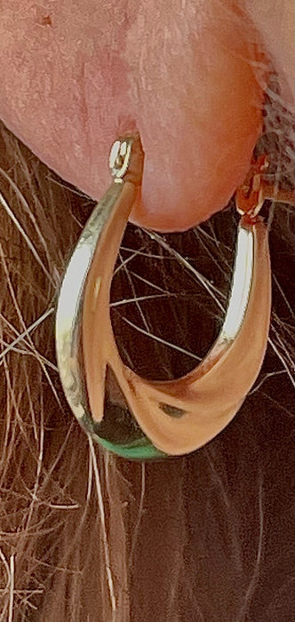 14K Gold Small Oval Hoops - LooptyHoops