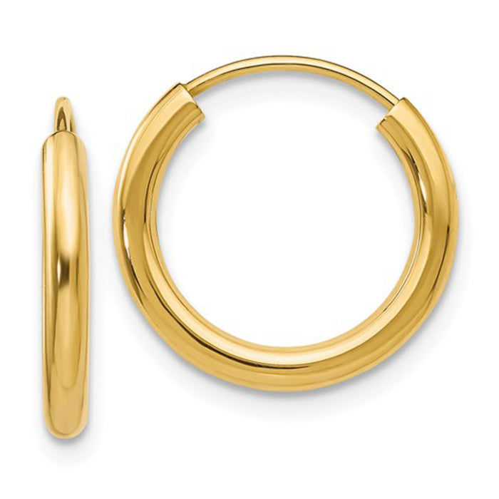 14k Yellow Gold Endless Hoop Earrings (2mm), All Sizes - LooptyHoops