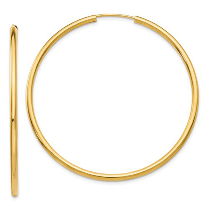 14k Yellow Gold Endless Hoop Earrings (2mm), All Sizes - LooptyHoops