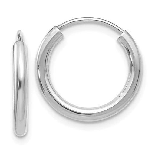 14k White Gold Endless Hoop Earrings (2mm), All Sizes - LooptyHoops