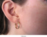 14k Yellow Gold Classic Click-Down Hoop Earrings (2.75mm), All Sizes - LooptyHoops