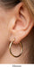 14k Yellow Gold Diamond Cut Click-down Hoop Earrings (2mm), All Sizes - LooptyHoops