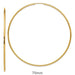 14k Yellow Gold Endless Hoop Earrings (1.2mm Tube), Extra Large Sizes - LooptyHoops