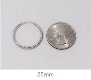 14k White Gold Endless Hoop Earrings (3mm), All Sizes - LooptyHoops