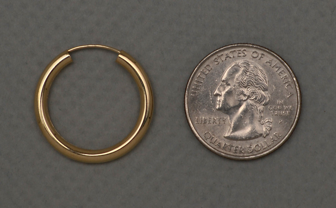 14k Yellow Gold Endless Hoop Earrings (3mm), 25-36mm - LooptyHoops