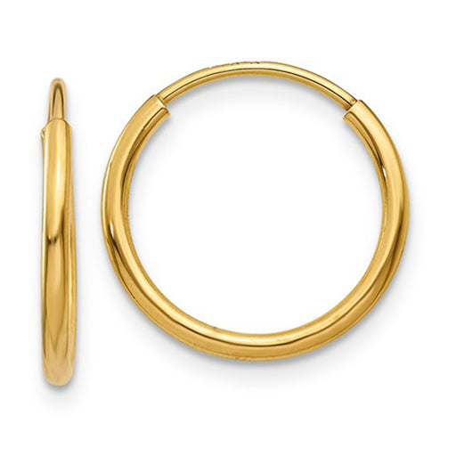 14k Yellow Gold Endless Hoop Earrings (1.25mm), All Sizes - LooptyHoops