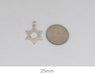 14K White Gold Star of David Charm Pendant, All Sizes - LooptyHoops